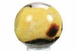 Polished Septarian Sphere - Madagascar #289952-1